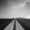 /gallery/road.jpg